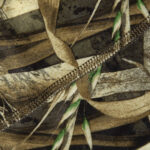 Camotec LVL1 Cane 5 base layer - Image 7