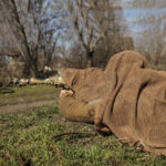 Masking scarf-mesh Camotec SFVS Coyote - Image 2
