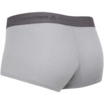 Women's Thermal Shorts Frontier Sylvia merino/bamboo Grey - Image 2