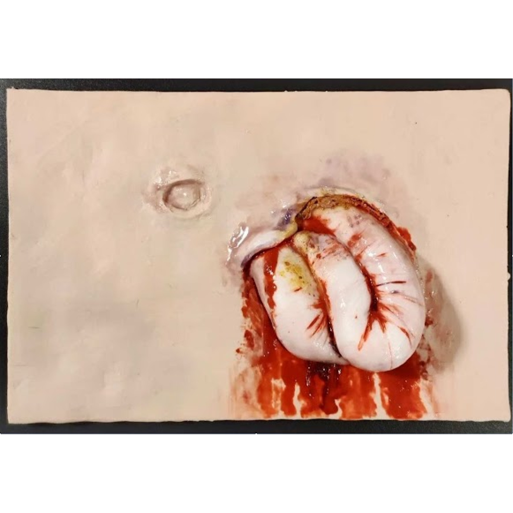 trenuvalna-nakladka-symuliator-eventratsii-kishkivnyka-1-1700x1700-1.jpg Training pad – evisceration simulator - Image 1